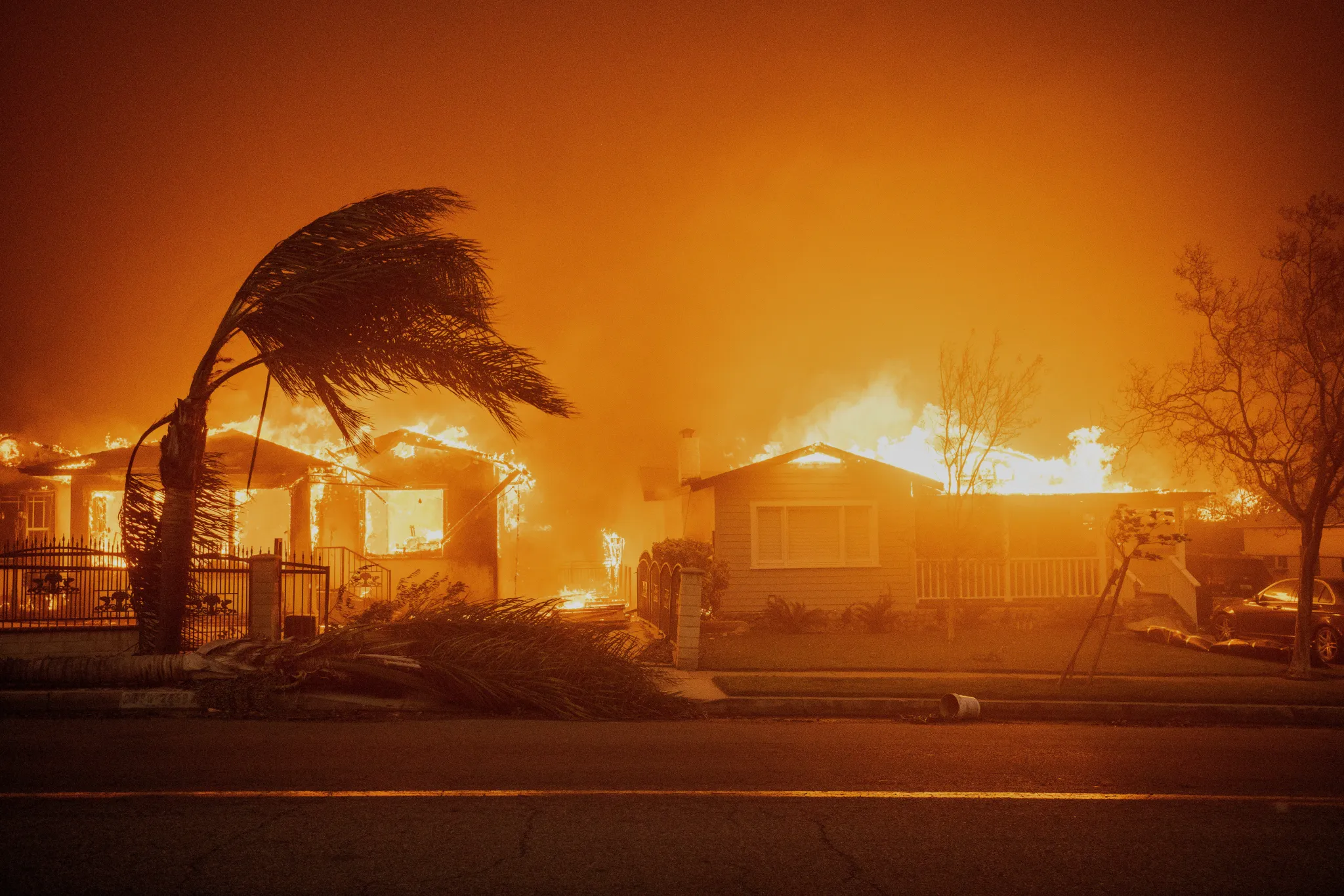 Houses on fire during LA wildfire with palm tree