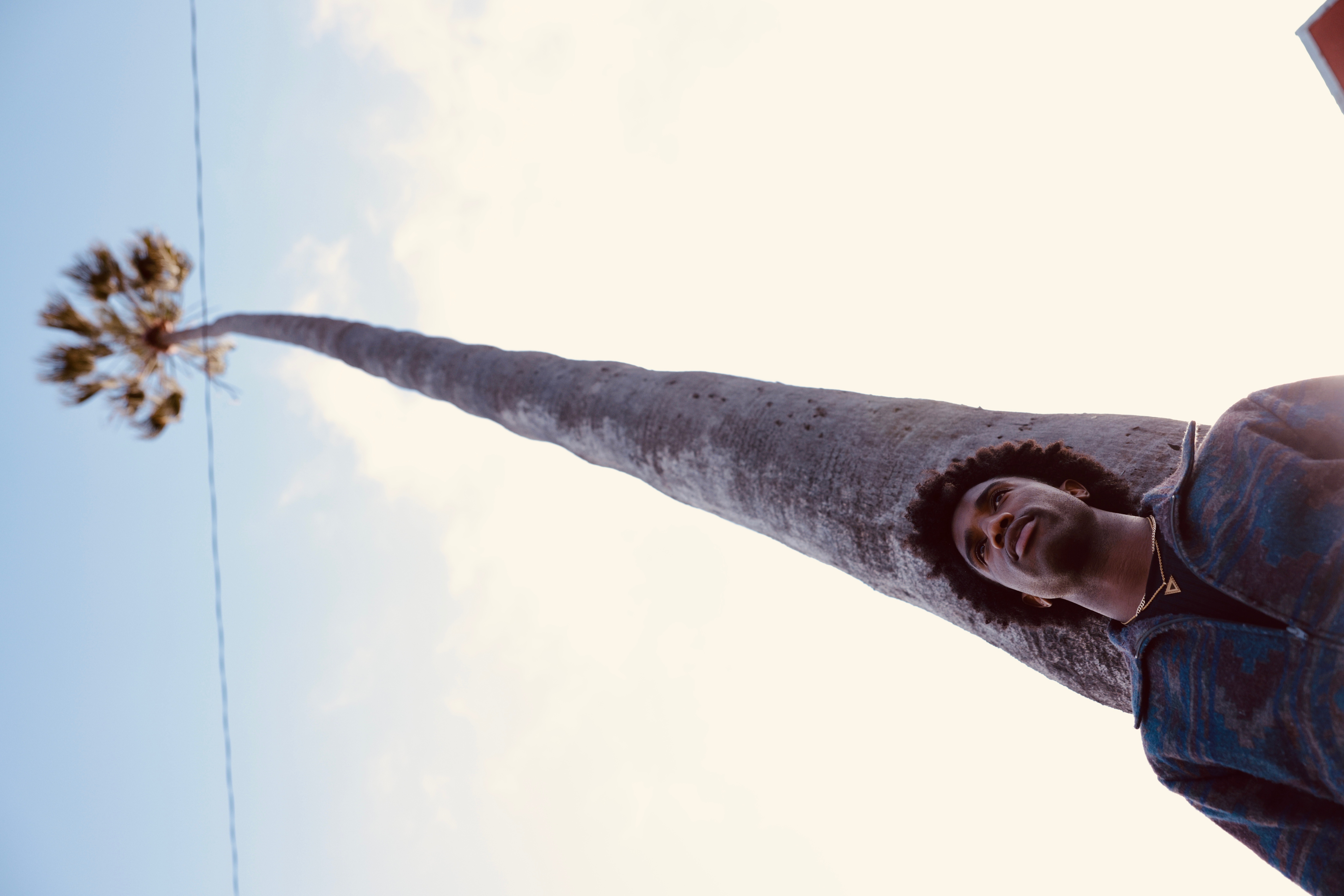 Person looking up at camera from palm tree